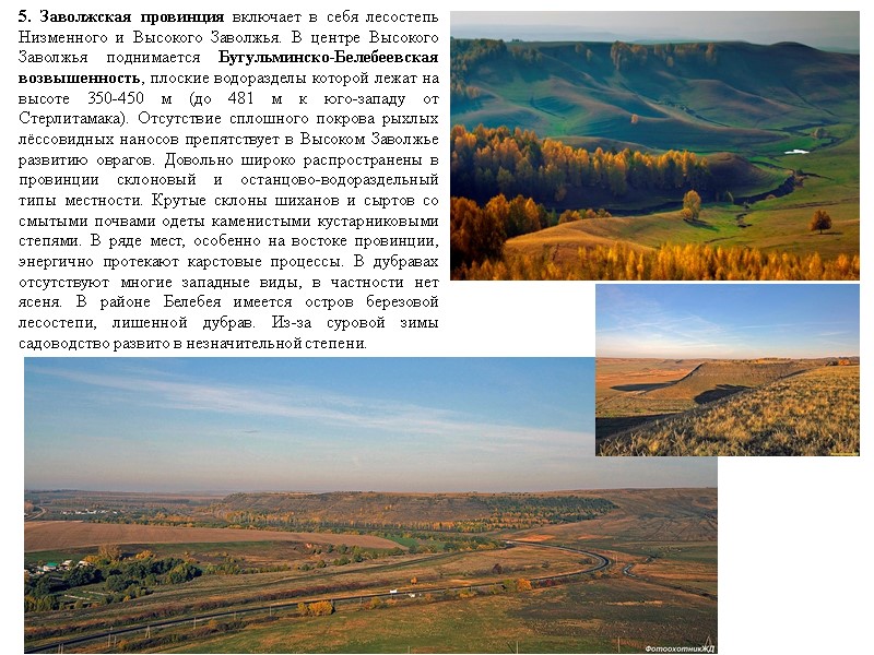 5. Заволжская провинция включает в себя лесостепь Низменного и Высокого Заволжья. В центре Высокого